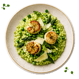 Plat gastronomique